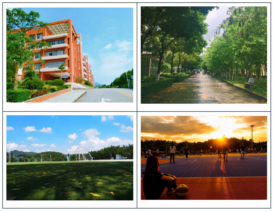 高职高考必看｜广东理工职业学院