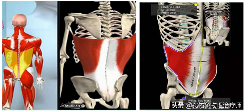 腰臀部疼或下肢麻木，是腰椎间盘突出吗？9种疾病需鉴别