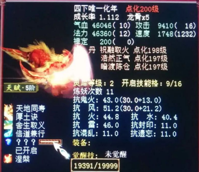 【寵物宅設計情報分享】大話西遊2土豪玩家重修神獸年19次 想要得到化無真的難