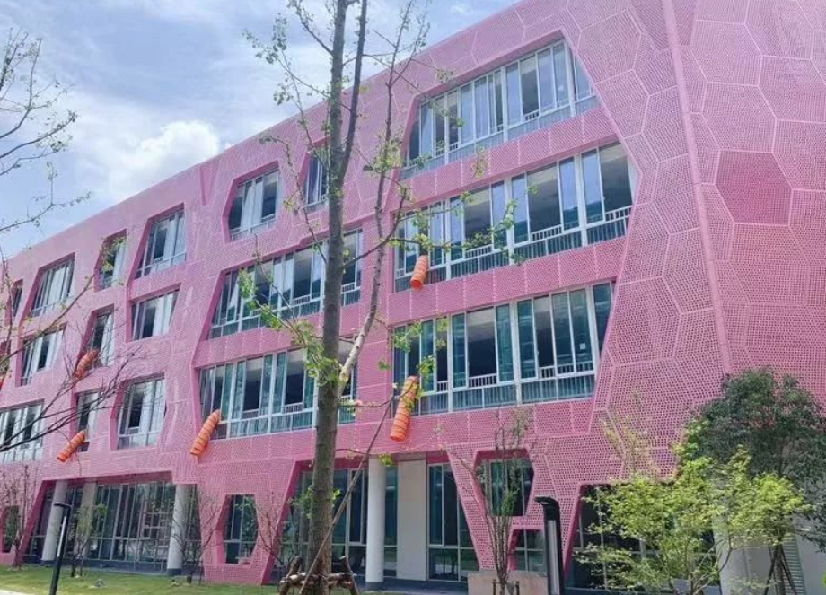 杭州下城区的这所“网红学校”，究竟能不能打？