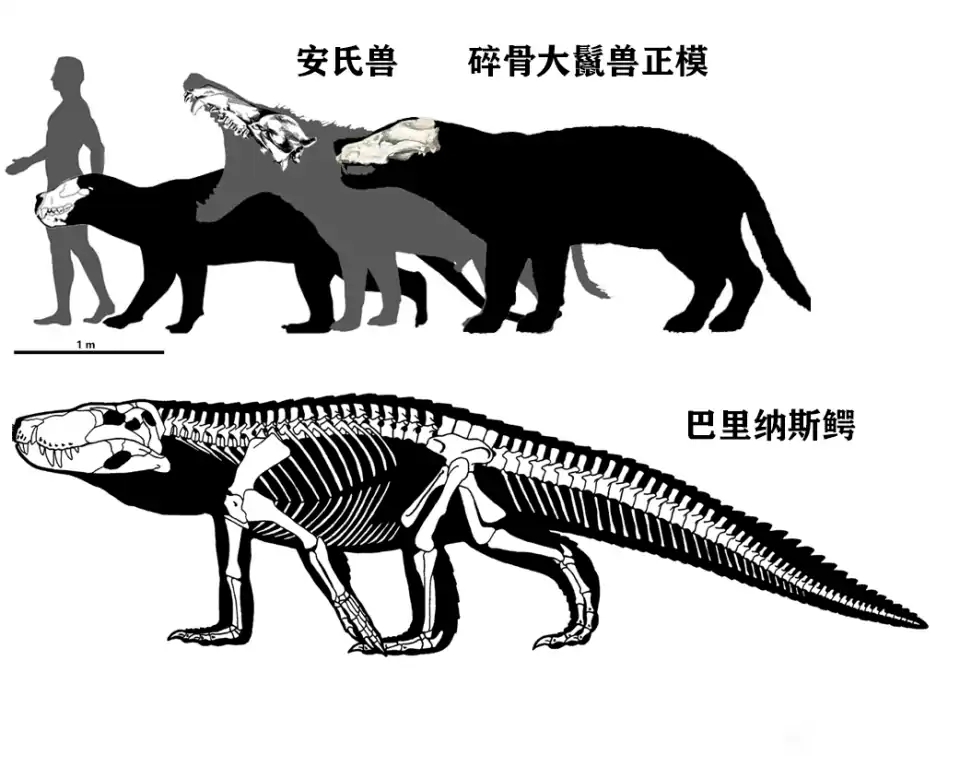 亚马逊莫拉氏鳄(新生代十大顶尖级掠食者)