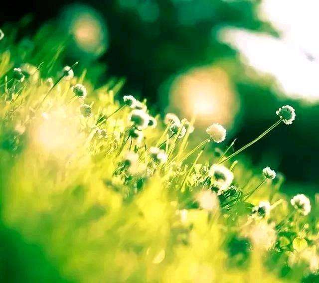 贵州公交坠湖，高考生命丧高考首日：谁都不知明天和意外谁先来