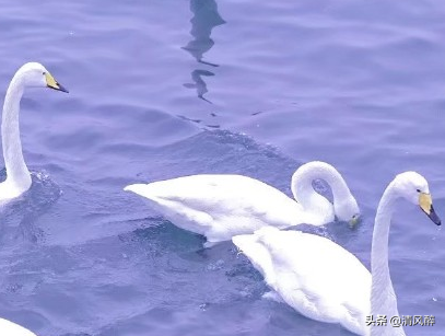 女生表白的话简短温暖