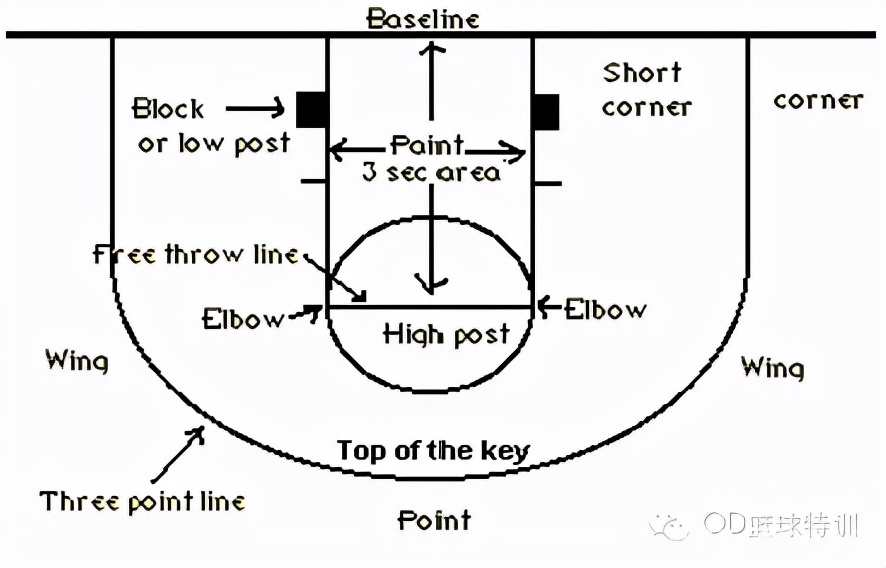 nba球场为什么有两根三分线(篮球小科普：弧顶三分？篮球中的“弧顶”位置在哪里？)