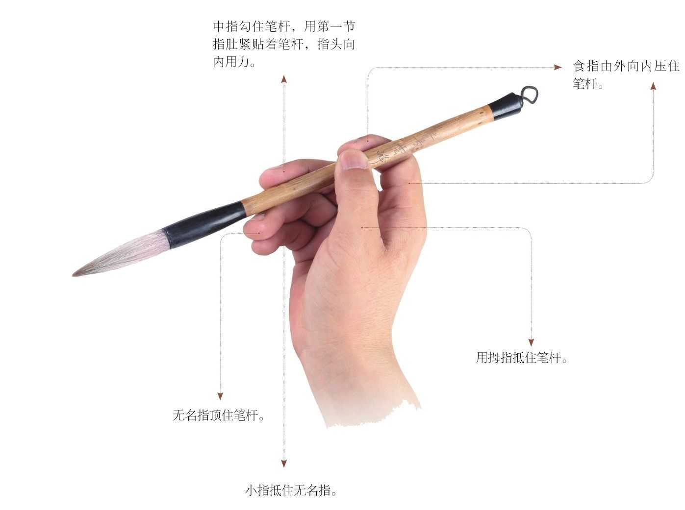 国画基础技法：从正确握笔姿势到水墨晕染的完整入门指南