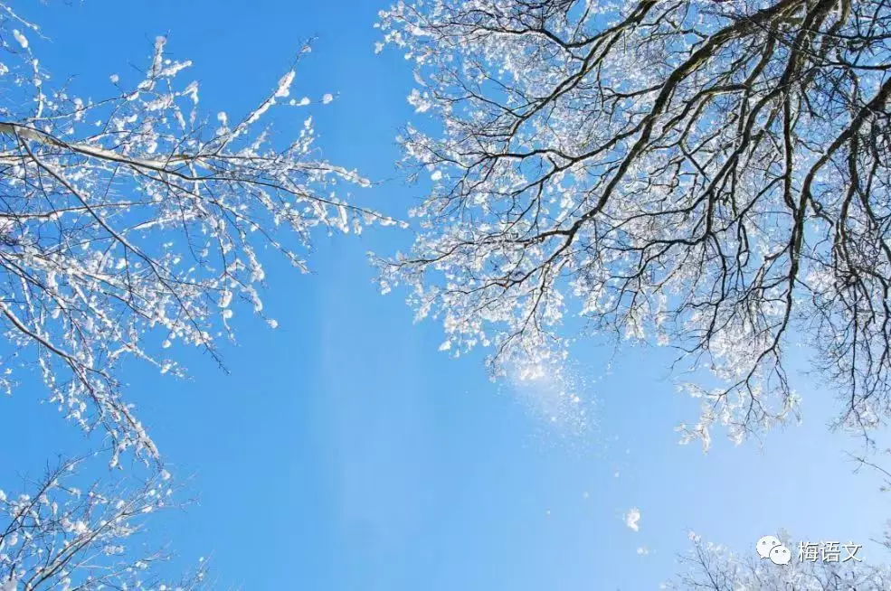 收藏！描写雪景的好词好句好段好诗，太全了