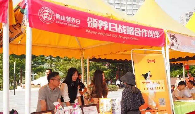 单月28次青云奖励+登顶头条宠物榜：巨小萌2019感谢有你