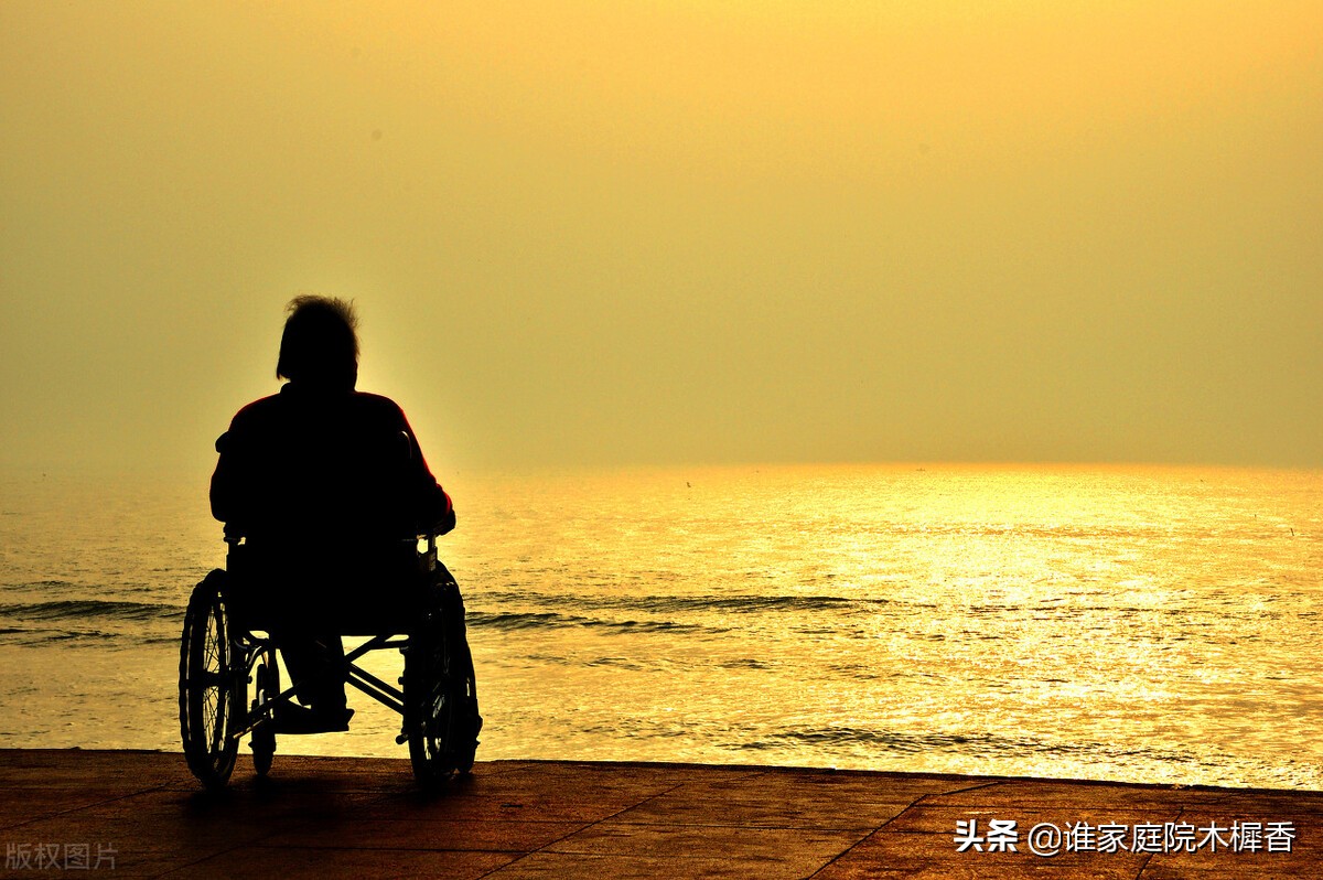 浮云游子意,悠悠慈母心.读古诗词,感受舐犊情深的母爱