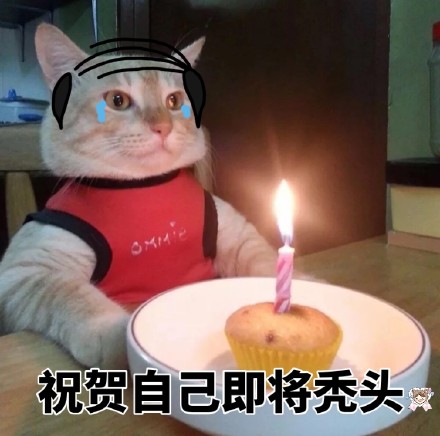 生日蛋糕表情包合集｜祝你生日快乐