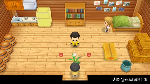 《牧场物语 重聚矿石镇》第一年冬攻略 秘宝获取方式 霍安猜苹果
