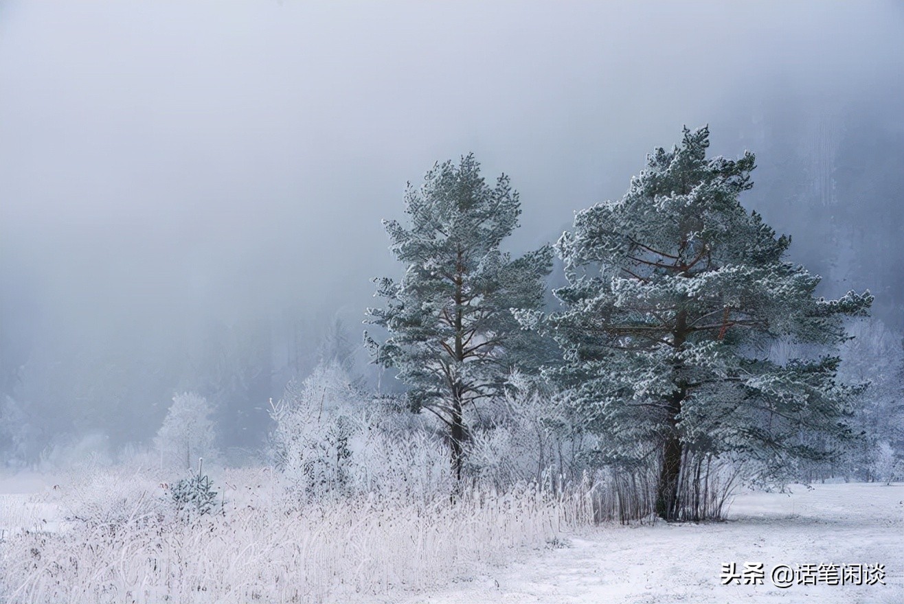 8句和雪相关的唯美诗词(8句和雪相关的唯美诗词大全)
