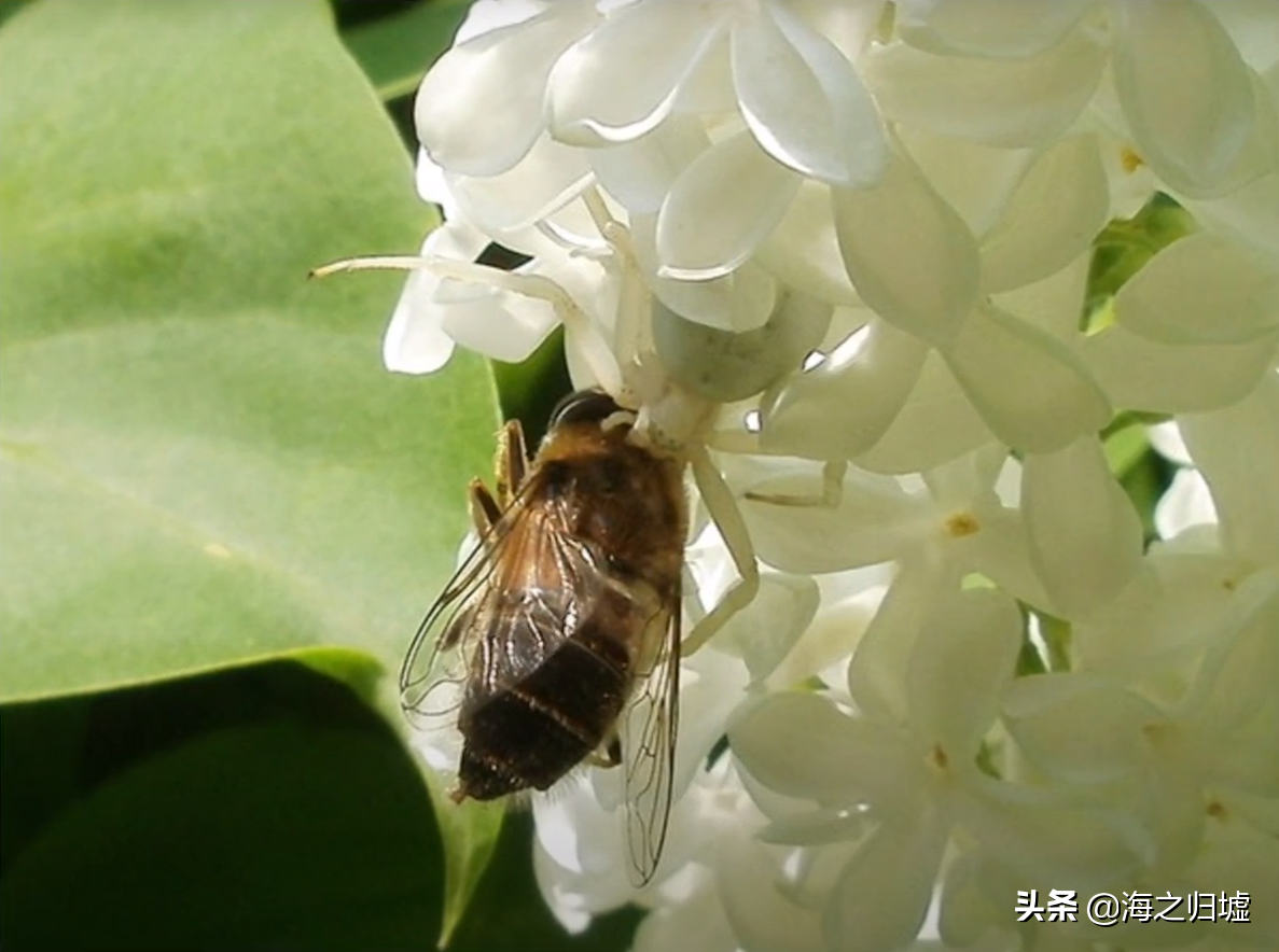 极限角度(27张藏有“亮点”的照片，火眼金睛也需要看两次)