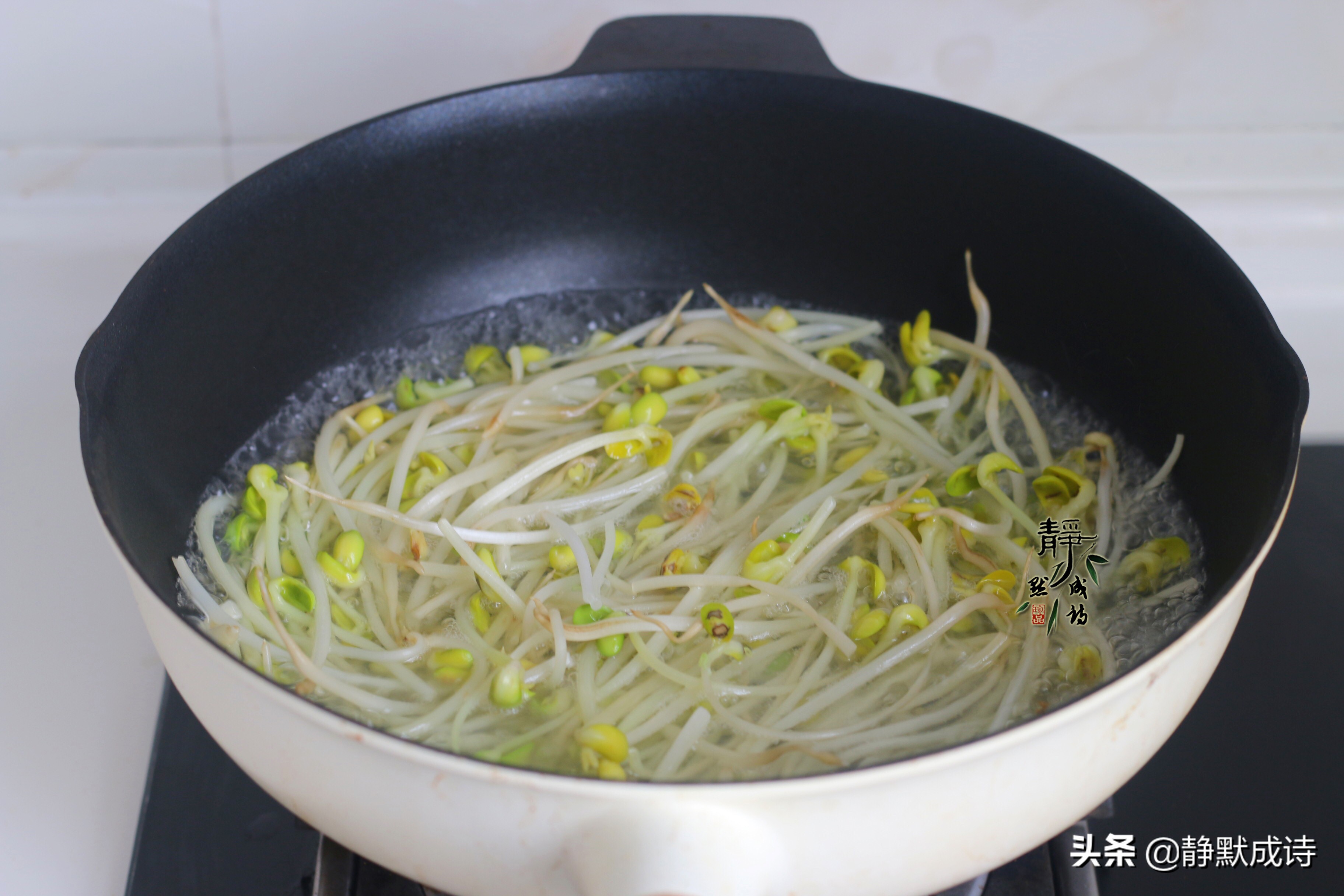 黄豆芽炒肉（一文详解分享黄豆芽炒肉的做法）