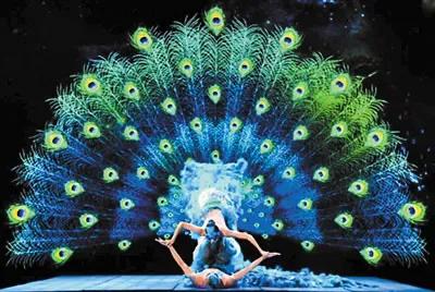 不是每个人都能成为孔雀.