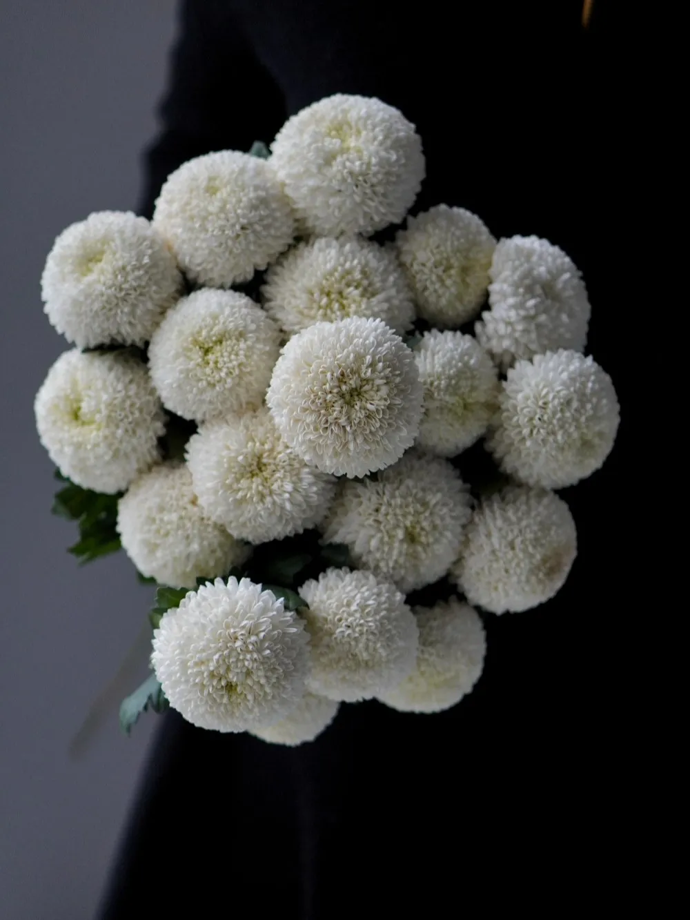 养乒乓菊,做到"3勤,1控制"花朵又大又圆,年年能开花