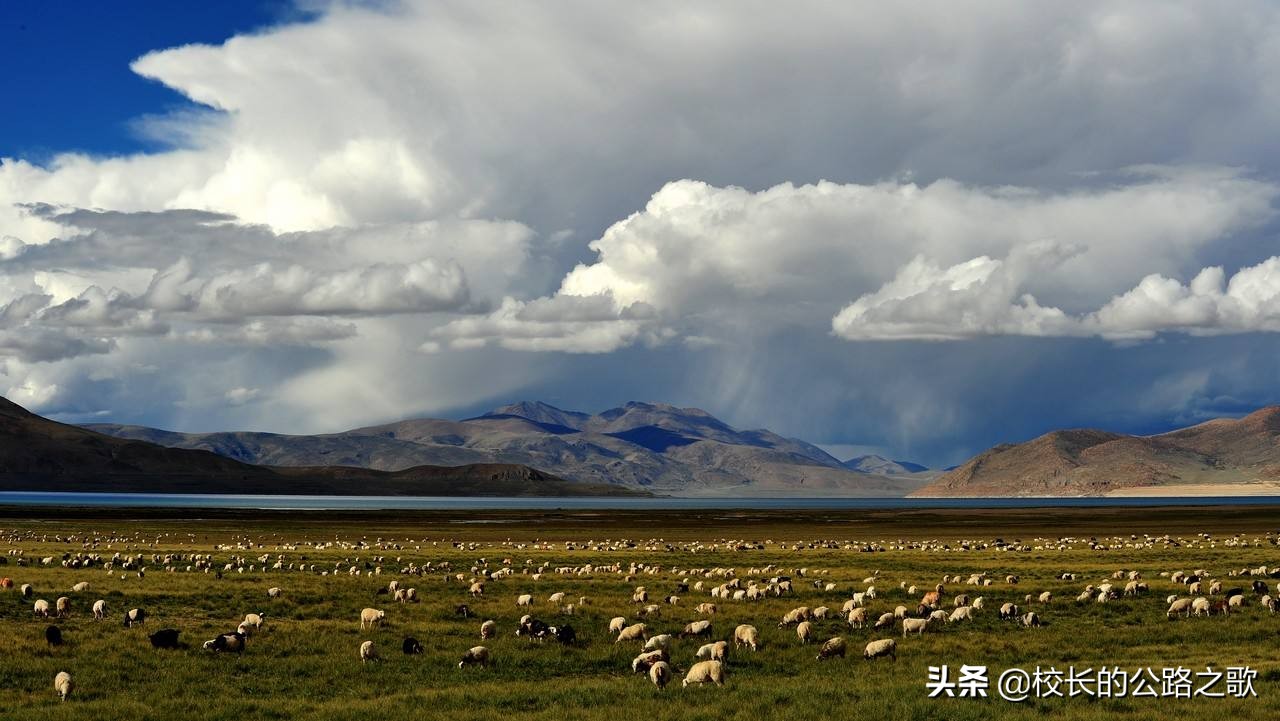 十四年的进藏经验，分享给想去西藏的你