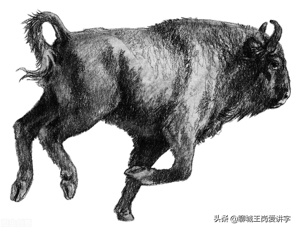 奇妙的汉字：“犇骉羴”你都认得吗？太有意思了，涨知识