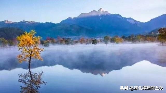 上海律师查询网（上海市关于进一步开放本市律师人口信息查询范围的工作提示）