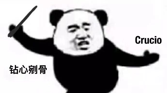 哈利波特咒语