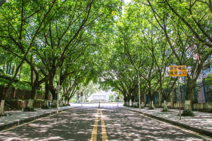 占地2390余亩，重庆这所大学美到被央视新闻