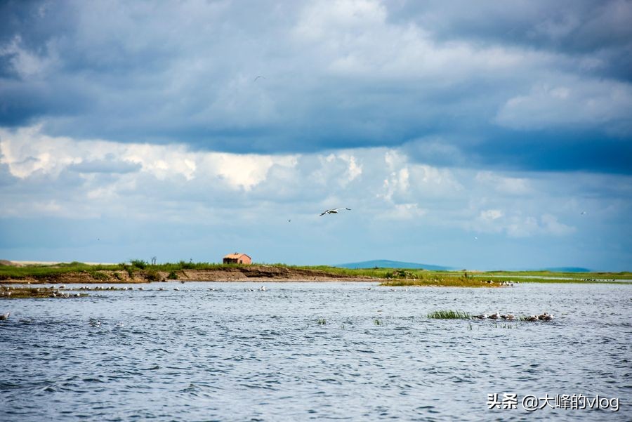 我国五大淡水湖(中国五大淡水湖有哪些)-骁龙网
