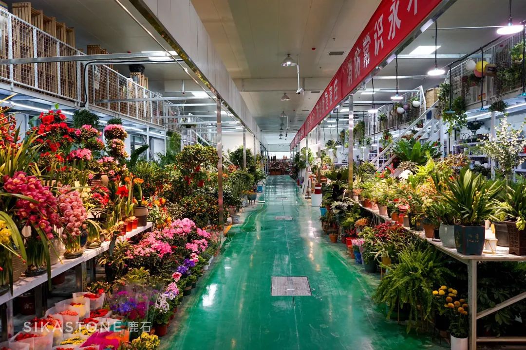 北京最大的花卉市场是哪一个（北京最大花盆批发市场）