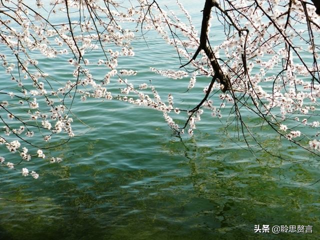 读一首诗韩愈《晚春》，晚春景色犹可喜，最可喜是有愉悦的心