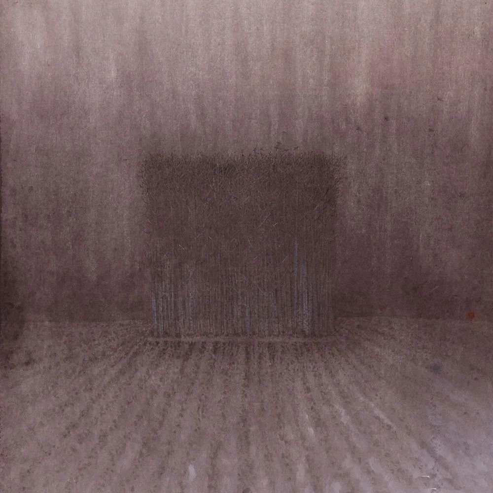 独特的艺术风格，寂静而俊丽