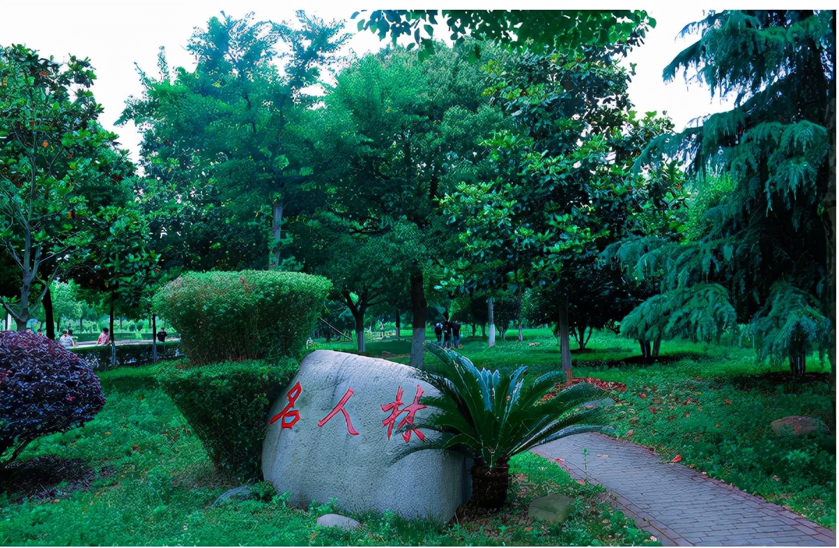 这所竞争力强学费低的民办高校，2021年艺术类专业录取数据分析