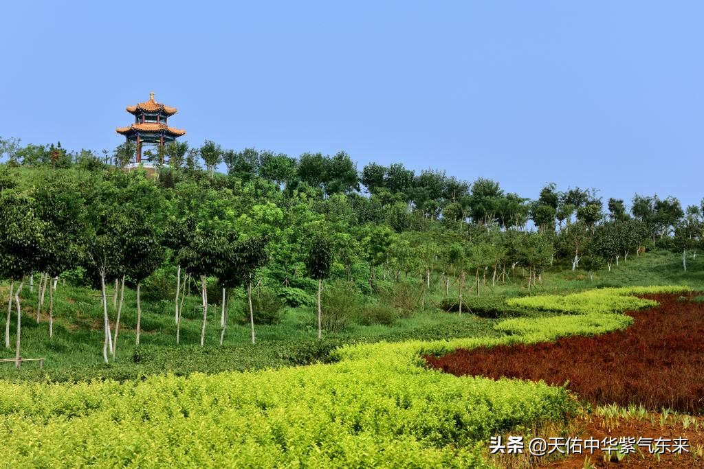 全国普通高等学校名单(大学)02--天津