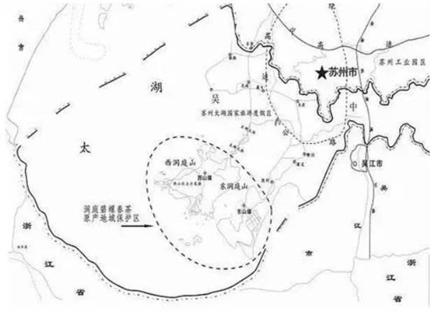 最贵18000元/斤！深度剖析天价洞庭碧螺春茶背后的密码