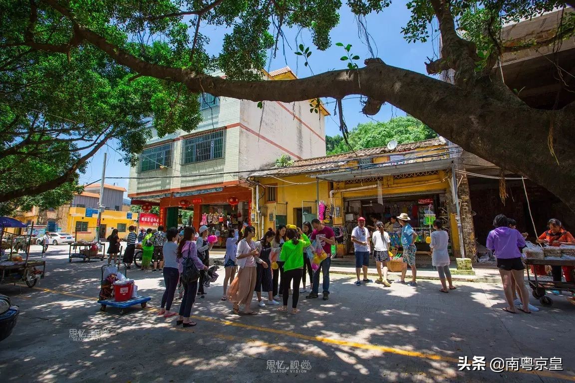 清远北江河边有个小渔村~白庙，还有个娃娃鱼养殖基地雪鲵庄园