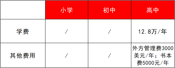 深圳国际学校学费（深圳国际学校学费10W）