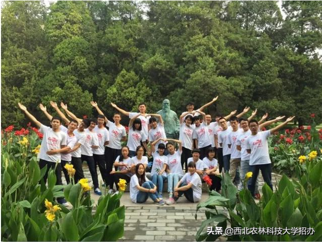 曝光！这，就是西北农林科技大学的7宗