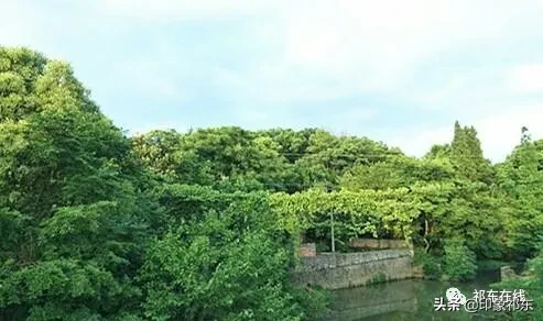 「家乡祁东」白地市记忆