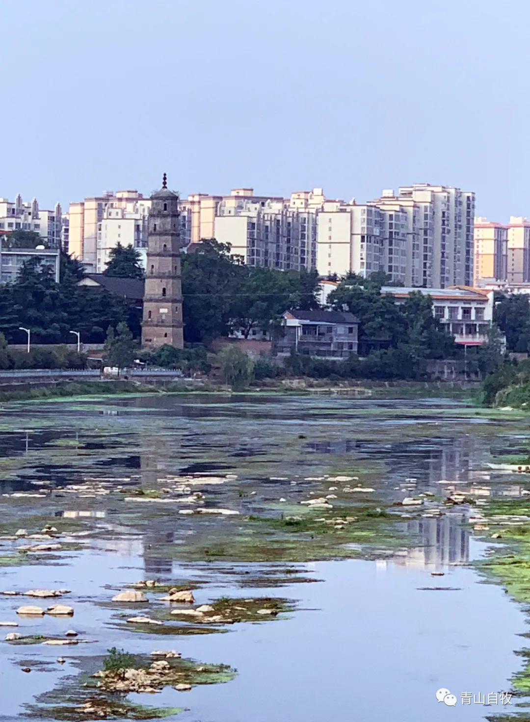 在湘西南,曾有一所黄埔军校第二分校