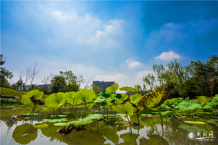 明天,陕西27万余人参加高考!最新