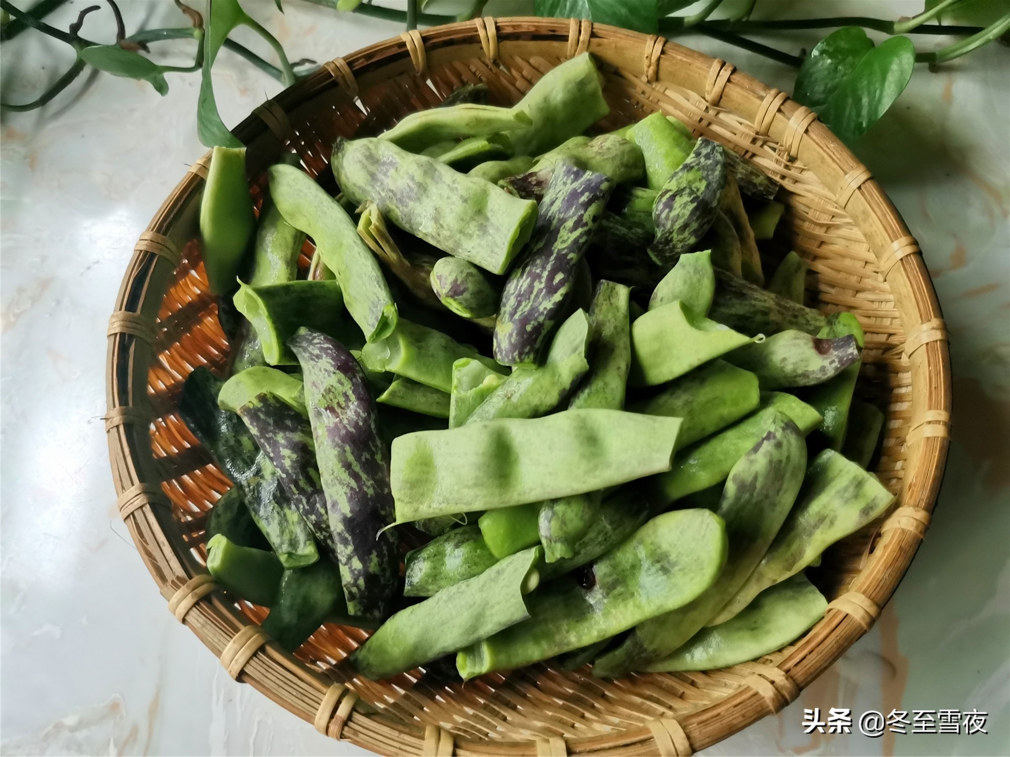 豆角炖土豆,豆角炖土豆肉的家常做法