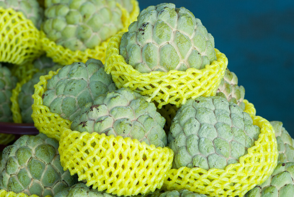 所有水果的名称和图片(你喜欢的水果是什么段位) - 赤虎壹号