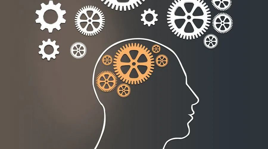 企微SCRM中的Social指的是什么？