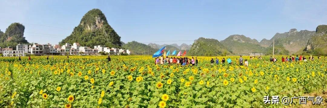 又美又涼快 德保是什么神仙地方