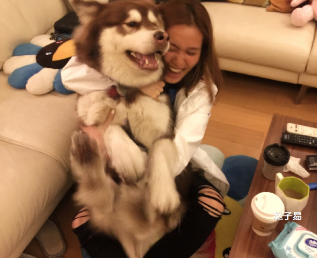 王思聪的风流情史，靠金钱征服了15个女人，如今却沦为了爱情舔狗