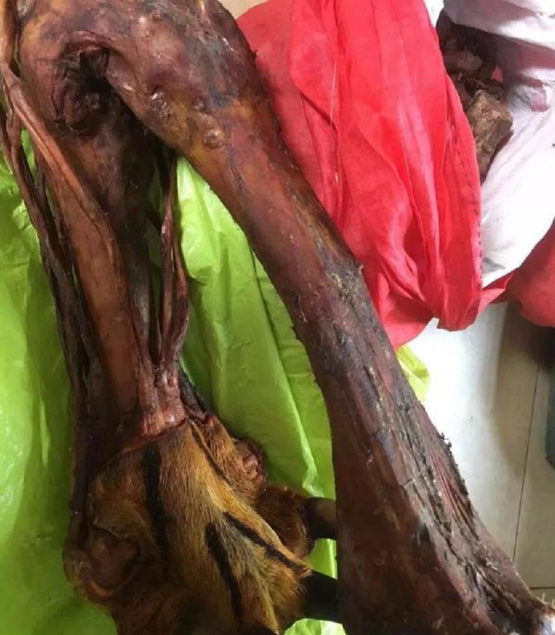 真虎骨到底长什么样?地摊上假虎骨是怎么制成的?