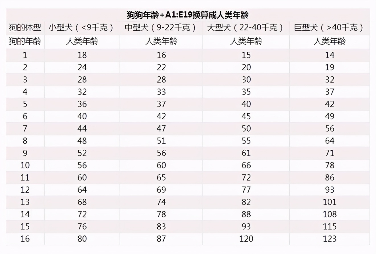 狗能活多少年（1分钟带你了解狗狗的最长寿命）