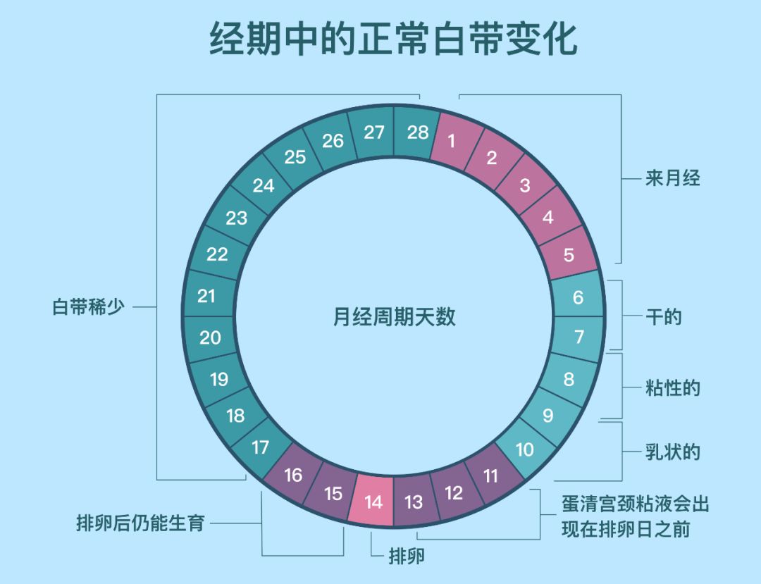 辟谣：出现淡黄色的白带，我是不是生病了？