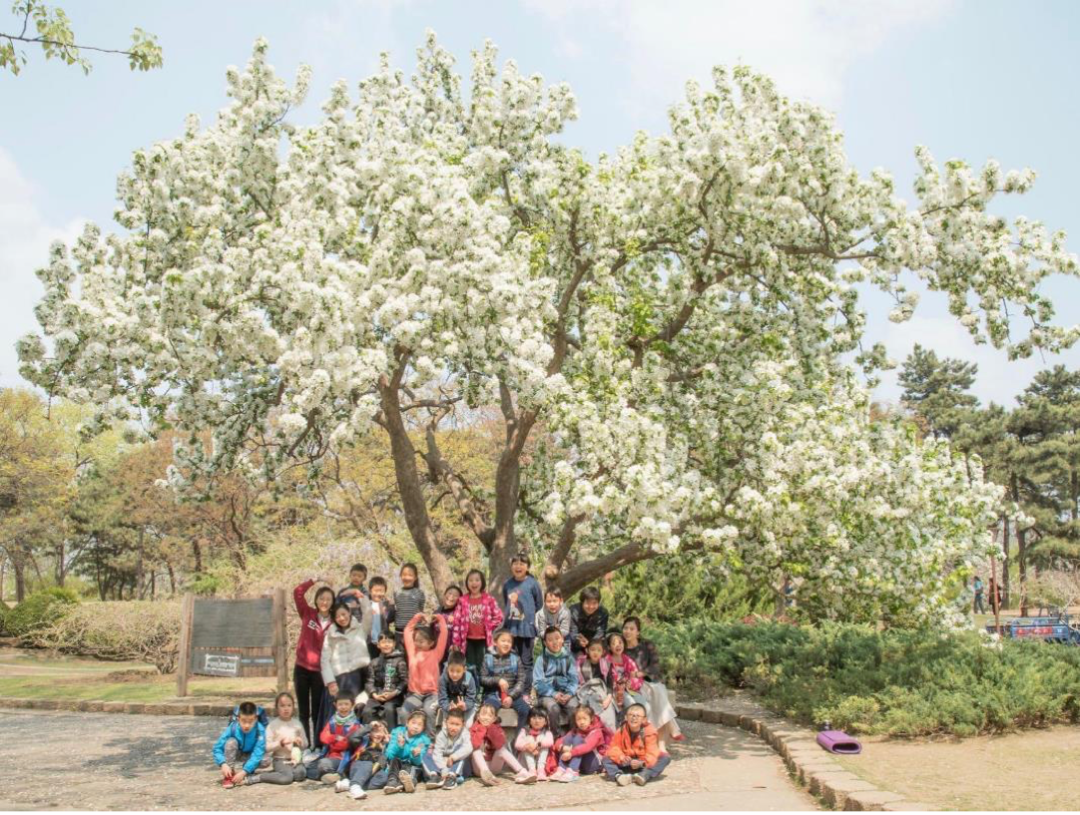 有这样一所学校，就像《窗边的小豆豆》里的巴学园一样美好