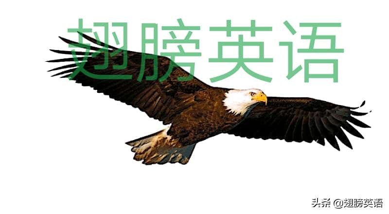 有灵动词kill用法考察