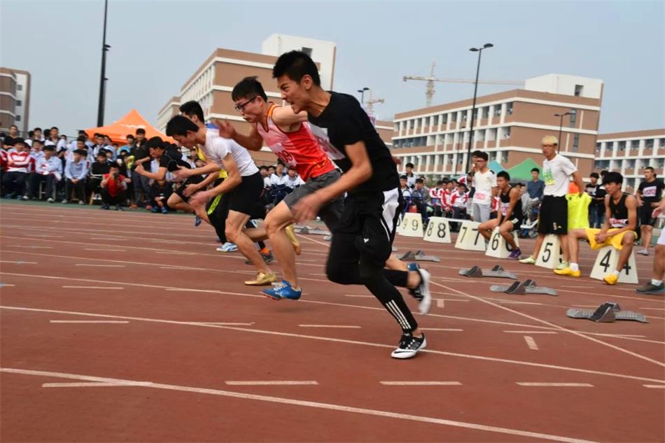 山东最满意的高职高专排行榜TOP10，淄博职业学院位居第二