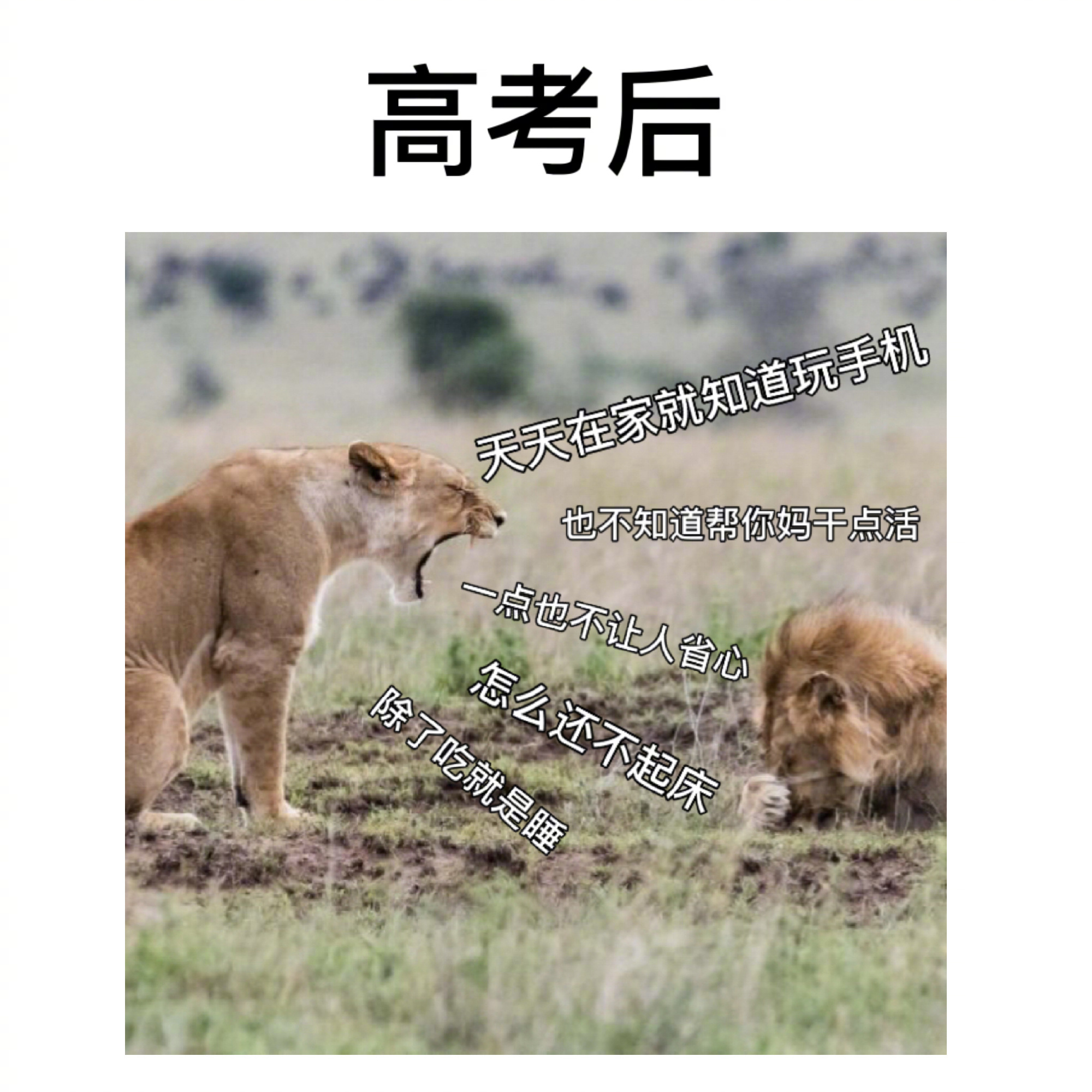 在父母眼中，“高考前后”地位变化有多大？这几张图真实得扎心了