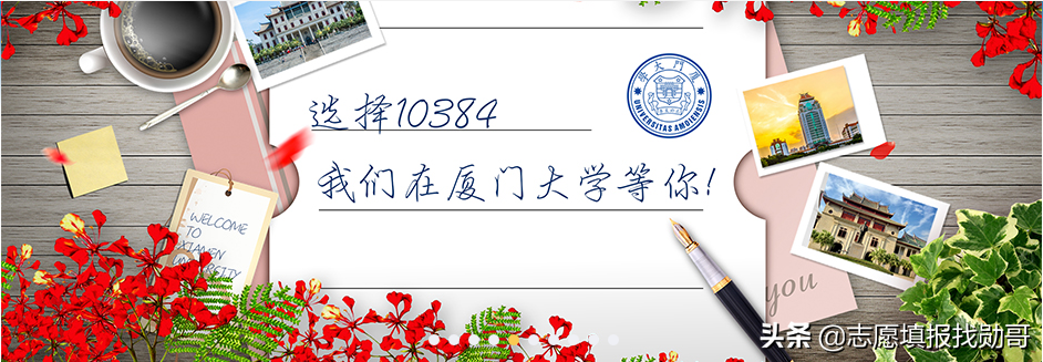 学财经专业，厦大和对外经贸，你选哪一个？